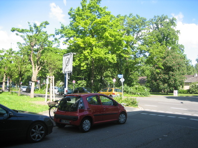 Img 0784 412Fac1Fa46Ba27Fd5384411B564F883